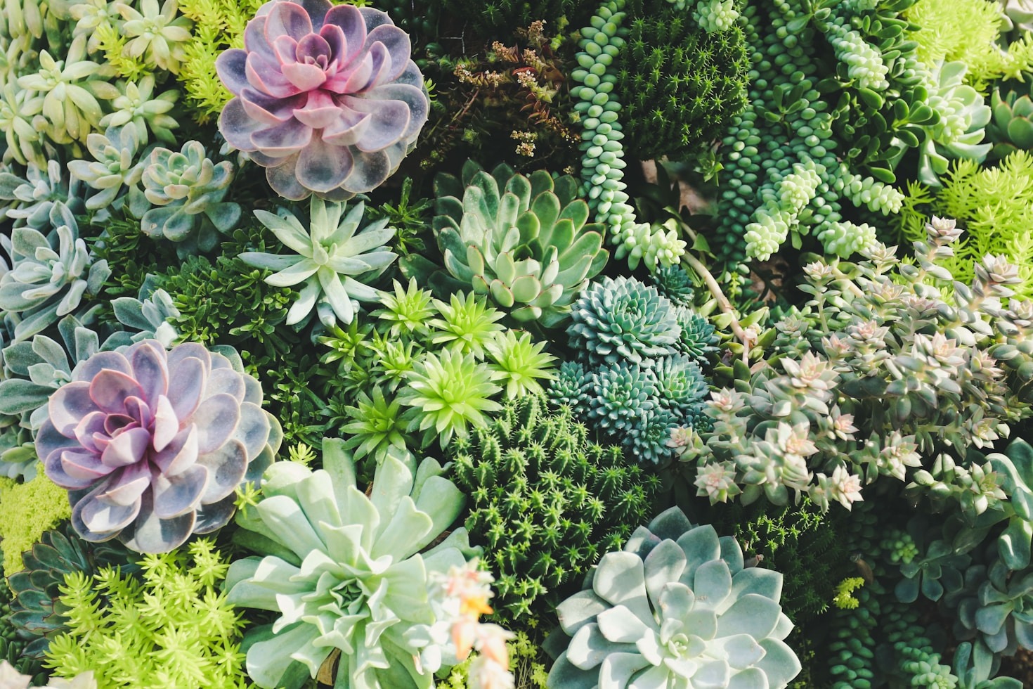 How to Style Your Garden Like a Pro